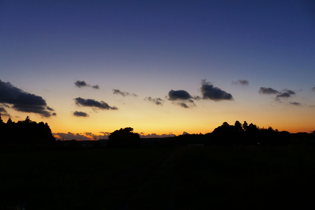 雲が飛ぶ夕空