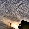 夕雲