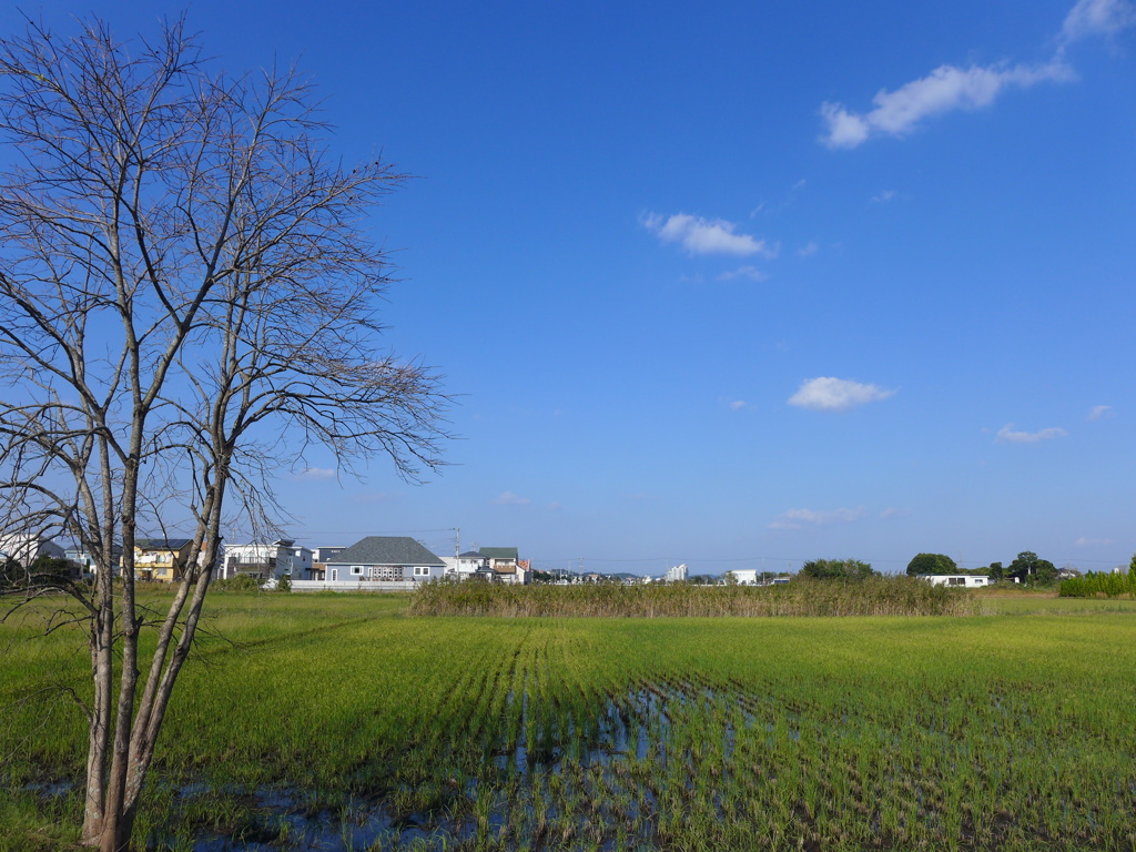 天気は安定