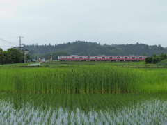 梅雨の田園