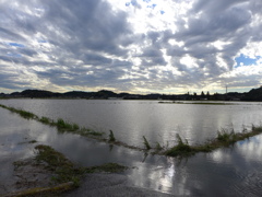 いつもの田んぼは湖に