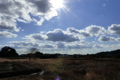 春めいた風景