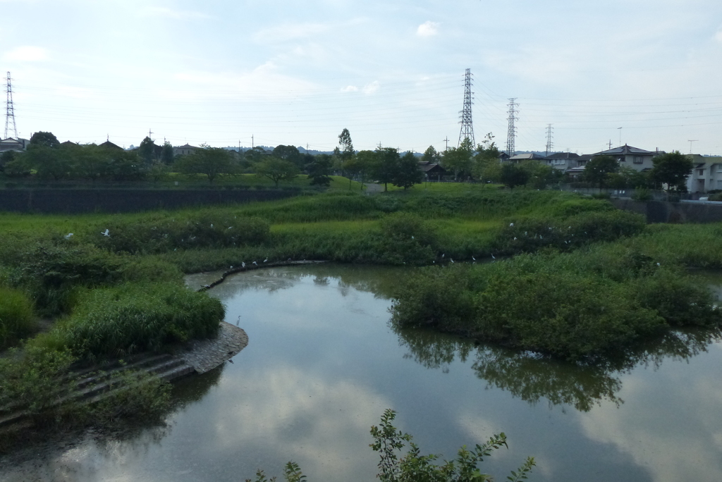 コロニー近況報告　全容