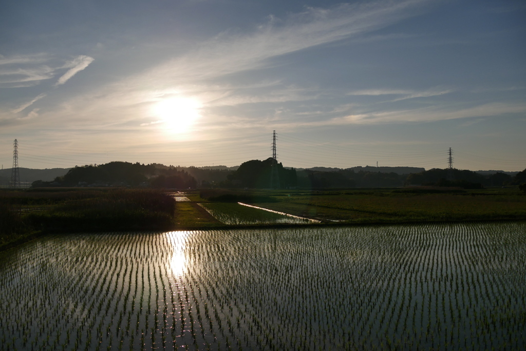田園の夕景