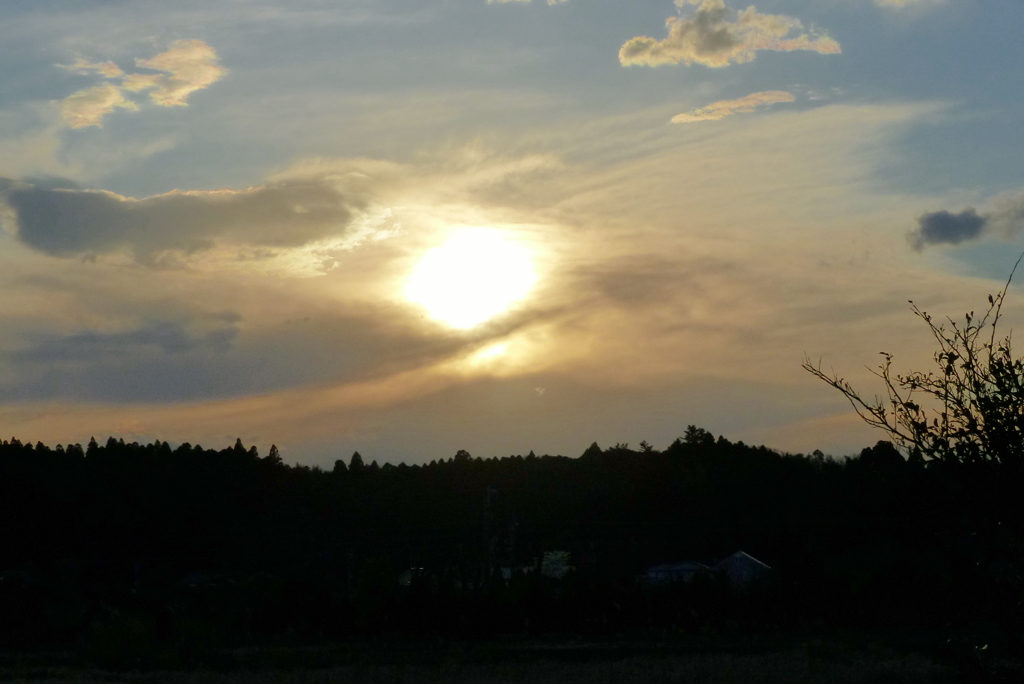 夕陽