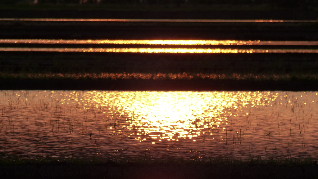 夕映え　2