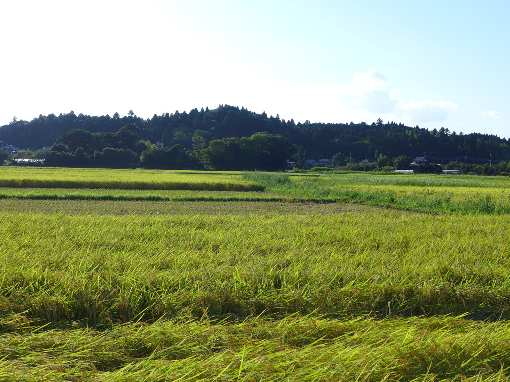 眩しすぎる風景