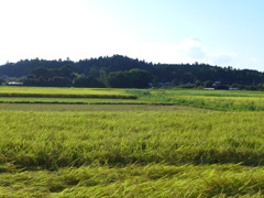 眩しすぎる風景