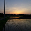 夕映え②