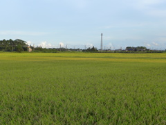 夕陽を受けて　5