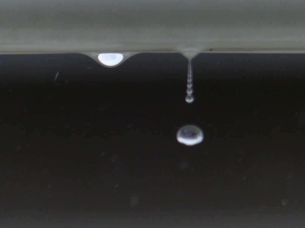 雨垂れ観察　1