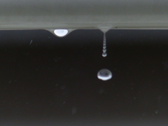 雨垂れ観察　1