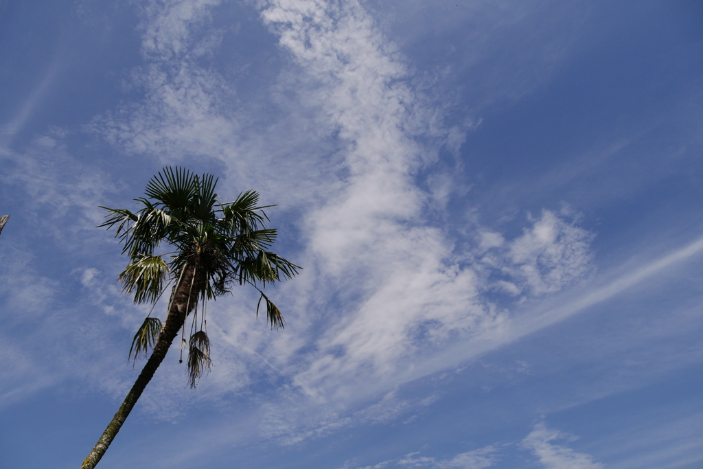 高い空