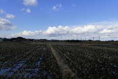 春を待つ田園