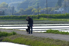 散歩道