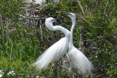 ラブラブですよ