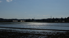 水田　1
