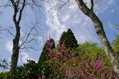 山間で見た空