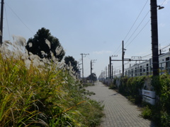 線路脇の風景