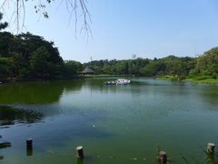 千葉公園