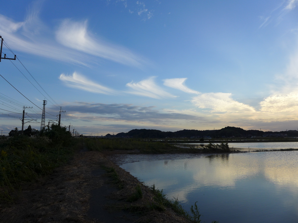 南方向はすっきりした雲