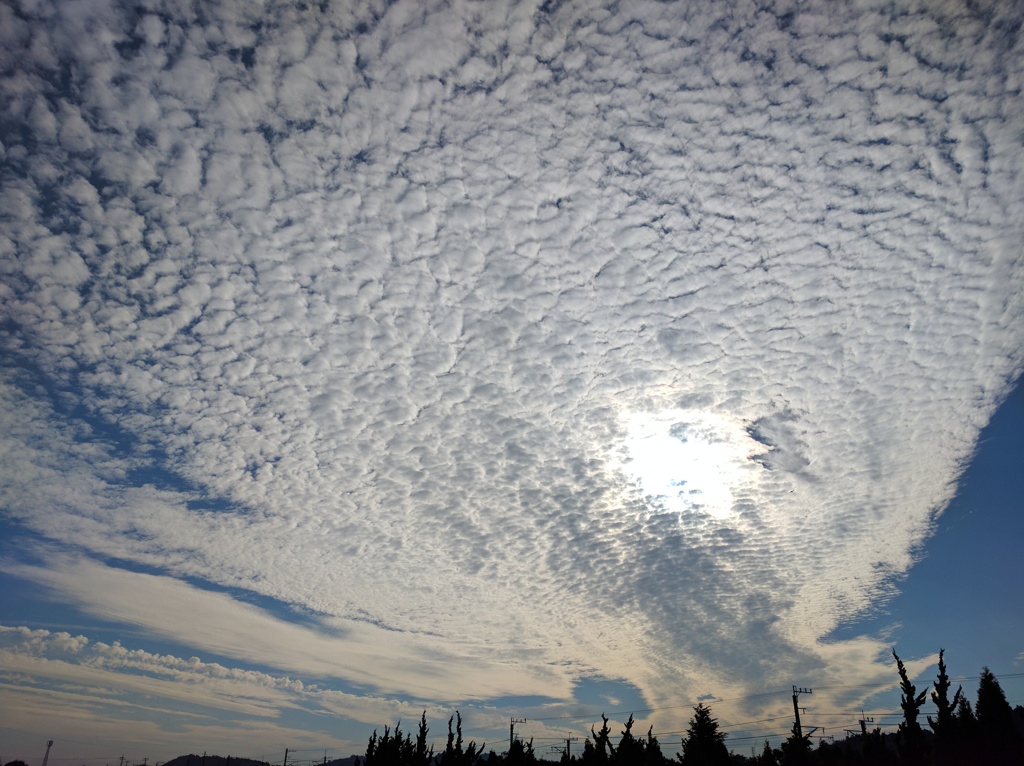 流れ来る鱗雲