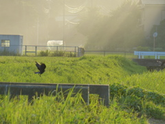 田園の片隅