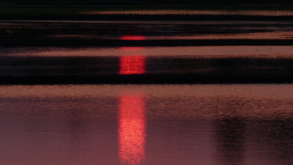夕陽