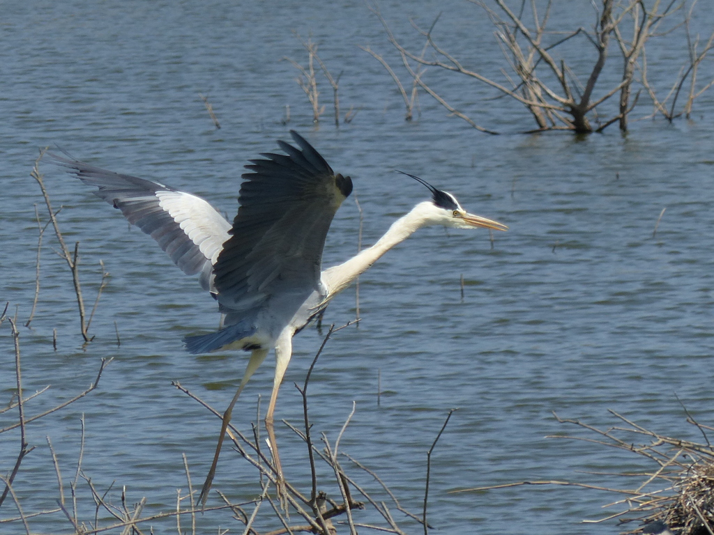エサ捕り出発！