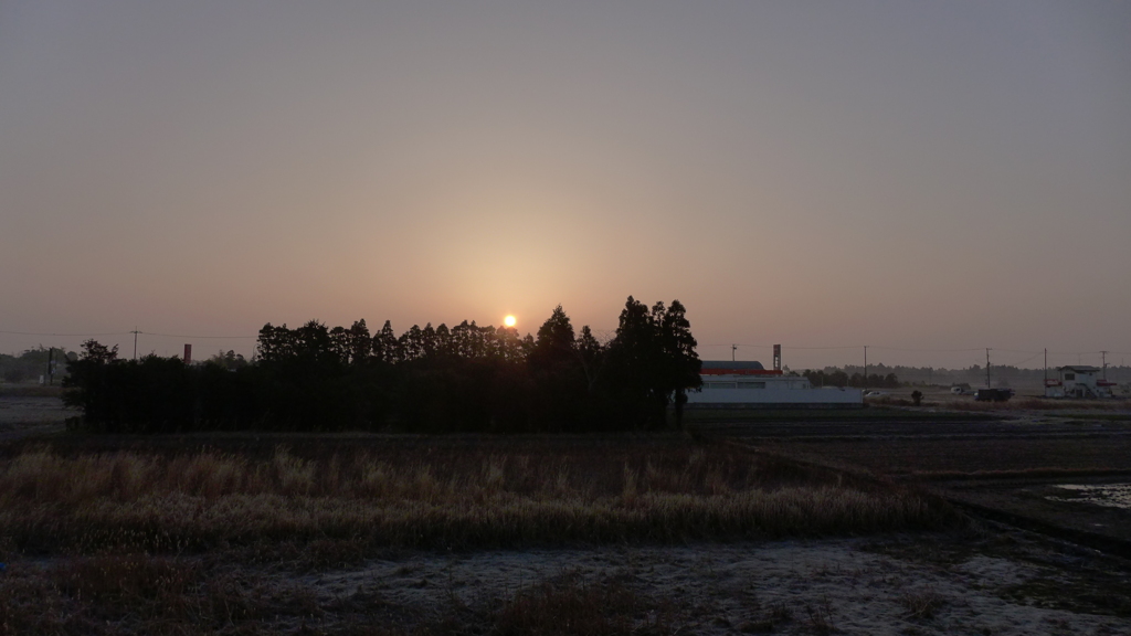 朝景