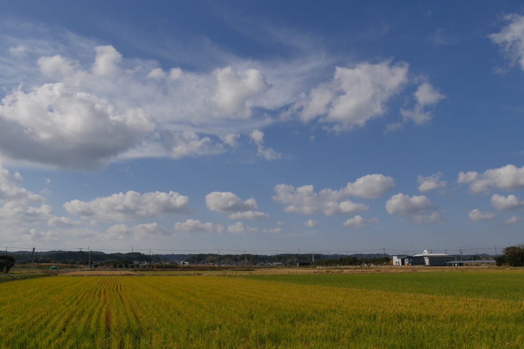 田園風景