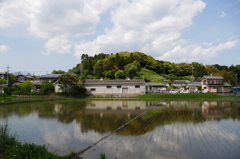 早い植え付け