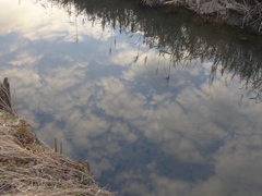 水路の空