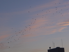 夕景　2