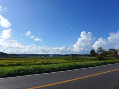 入道雲