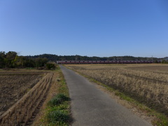 冬の田んぼを行く電車