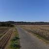 冬の田んぼを行く電車