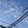 秋雲