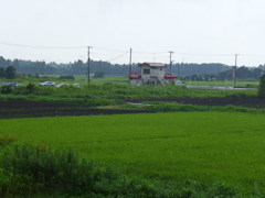 豪雨は止んだ