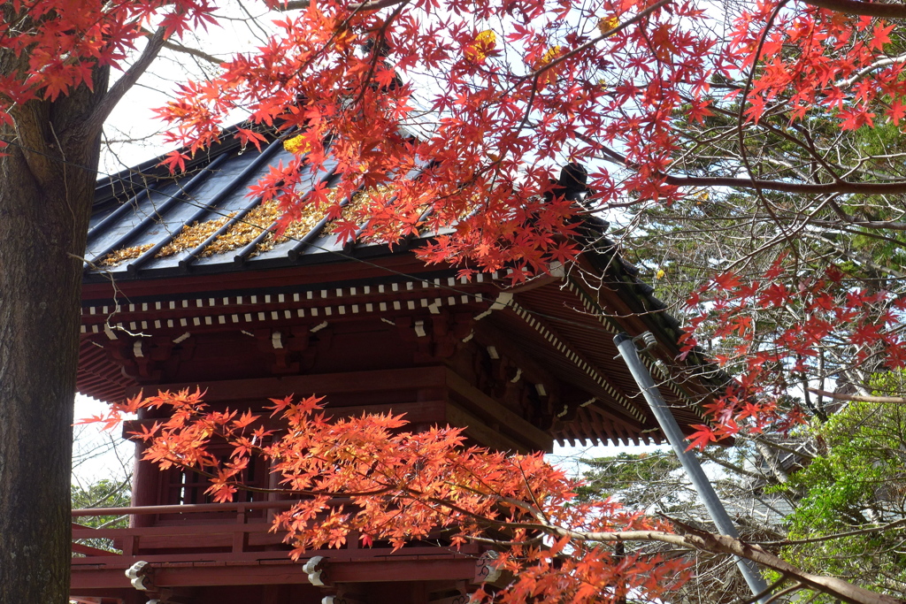 藻原寺の境内
