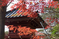 藻原寺の境内