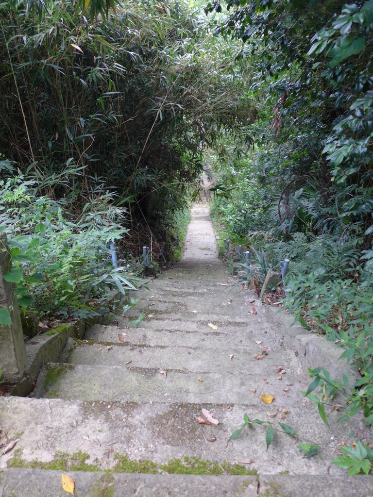 駒形神社　⑥