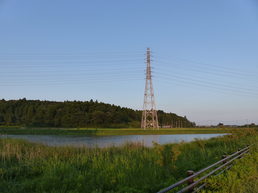 湿地帯の池と鉄塔