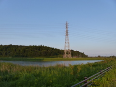 湿地帯の池と鉄塔