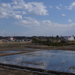 田んぼの空