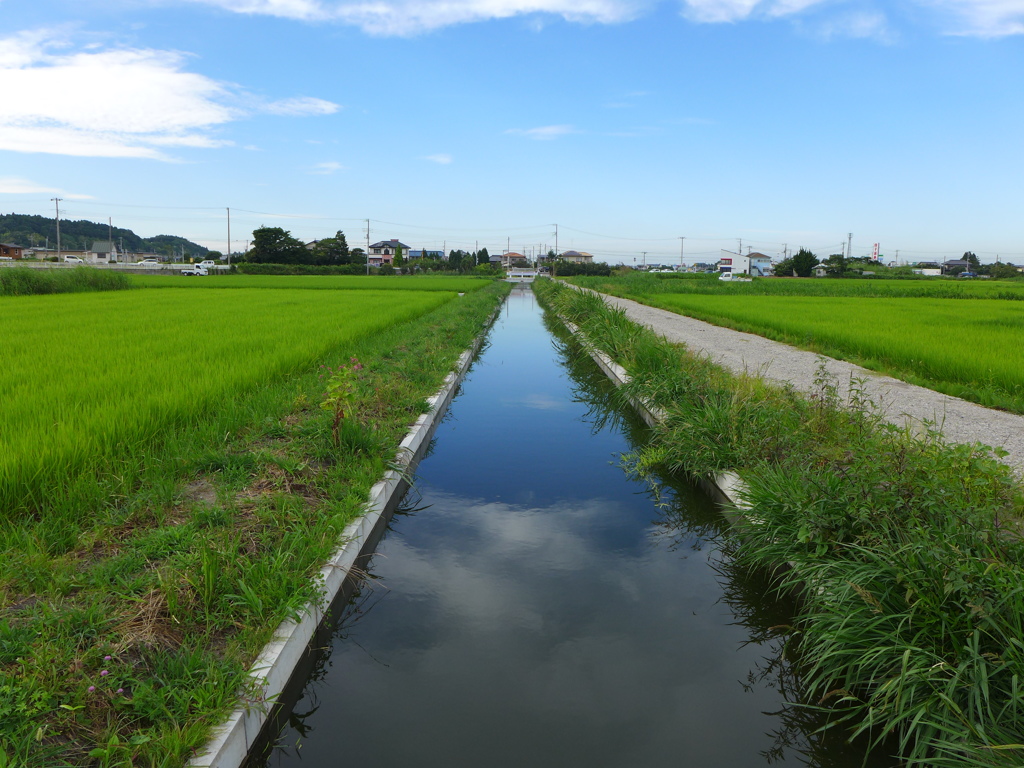 用水路