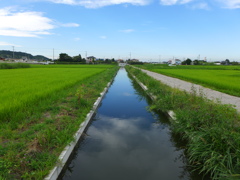 用水路
