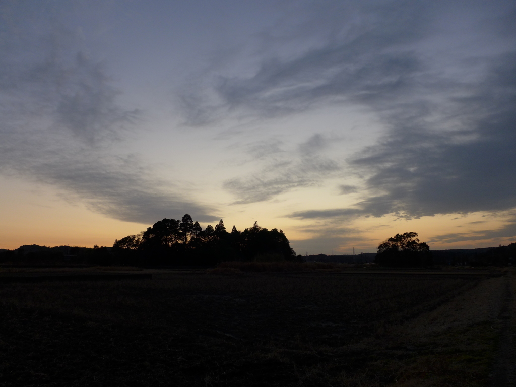 夕景