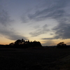 夕景