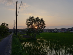 夕景①